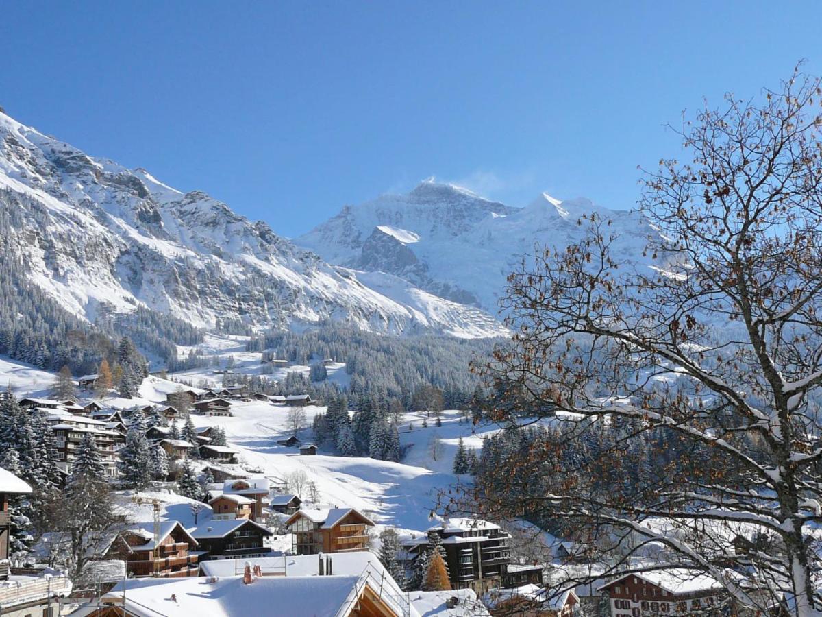 Apartment Panoramapark Soleil Haus D Apt 3 By Interhome Wengen Exterior foto