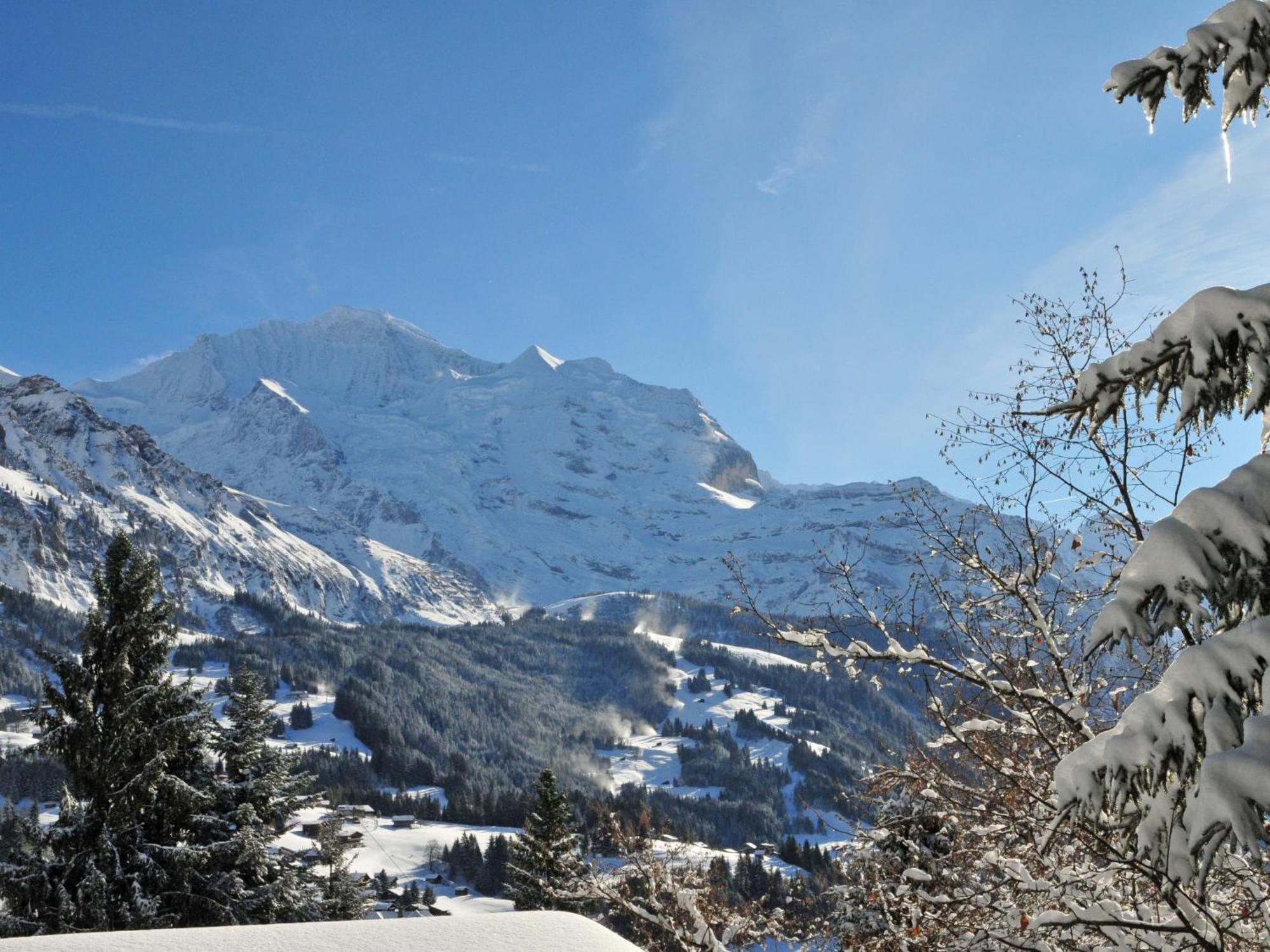 Apartment Panoramapark Soleil Haus D Apt 3 By Interhome Wengen Exterior foto